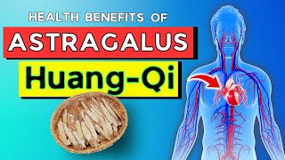 Astragalus benefits  ‎|  discover 6 health benefits of astragalus or \