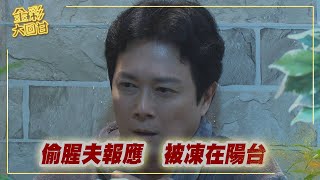 《金彩大回甘》EP155 偷腥夫報應   被凍在陽台