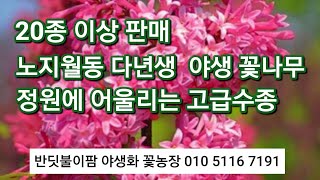 노지월동 다년생  꽃나무 정원에 심으면  귀티 나는 유럽수종들  20여종이상   소개합니다