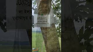 রাস্তার ধারের গাছে লেখা ঈমানী বাক্য কতই না সুন্দর/awesome roadside view #musafir #streetfood