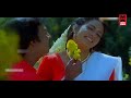 chinna poongili sinthum tamil songs parvathi ennai paradi ilaiyaraaja tamil songs