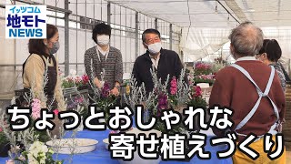 ちょっとおしゃれな寄せ植えづくり【地モトNEWS】2023/1/27放送