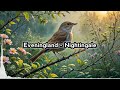 Eveningland - Nightingale