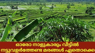 Trees that every star person should plant at home |  ഓരോ നാളുകാരും വീട്ടിൽ നട്ടുവളർത്തേണ്ട മരങ്ങൾ