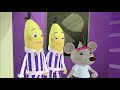 Rat loves Cheese!   Bananas in Pyjamas   YouTube