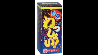 星空わっしょい　燃焼時間約17秒　音の大きさ（中）　火花高さ（２m～4m）半径（1.5m～3m）　地上噴出花火　おもちゃ　花火