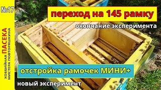 Переход на 145 рамку. Окончание эксперимента. Отстройка рамок МИНИ +. Новый эксперимент.