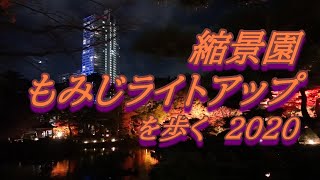 縮景園もみじライトアップを歩く　2020