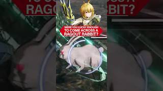 RAGOUT RABBIT in Sword Art Online Fractured Daydream!