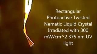 Rectangular Photoactive Twisted Nematic Liquid Crystal Irradiated With Light