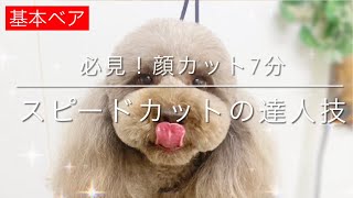 【Grooming】Toy Poodle ”Bare Cut (Quick Cut)\