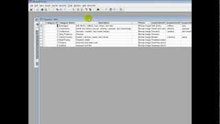 How to split fields in microsoft access