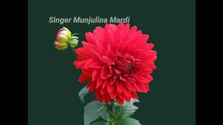 New Santali Song_ Dhiri danang dular_Singer munjulina nardi_editing,Recording BIJOY MARDI