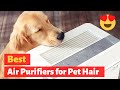 What are the Best Air purifiers for Pet Hair? My Best Picks