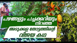 പഴങ്ങളും പച്ചക്കറിയും നിറഞ്ഞ അടുക്കള തോട്ടത്തിന്റെ വിജയ കഥ |  Beautiful Vegetable Garden