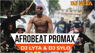 DJ LYTA - AFROBEAT PRO MAX 2023 | RUGER,AYRA STARR,REMA,FIREBOY JOEBOY,OMAH LAY,BURNA BOY,DAVIDO