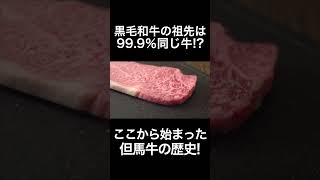 但馬牛の全てを教えちゃいます #shorts