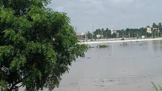 nellore rains , nellore floods , kovur floods, heavy rains 🌧in nellore