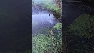 Under Water experiment! #trick #experiment #fireworks