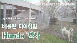 ep5. 베를린 티어하임 견사 둘러보기