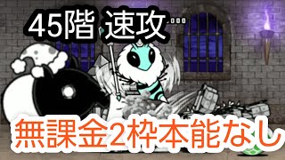 45階　無課金2枠本能なし速攻【にゃんこ大戦争】