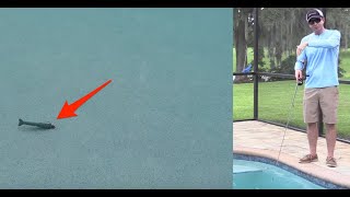 How To Use Gulp Shrimp Tutorial & Review