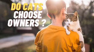 How Do CATS CHOOSE Their HUMAN? 🧍‍♀️🐈 Find Out!