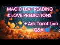 MAGIC LEAF 🍁 READING  & TAROT LOVE PREDICTIONS 💕🫂🕊 + ASK Tarot Q&A 🗨