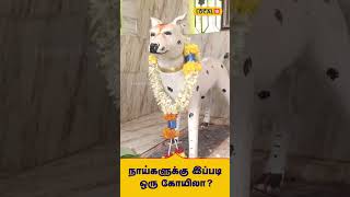 நாய்களுக்கு இப்படி ஒரு கோயிலா? | Dog Temple | #Local18