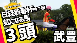 【武豊】1/19 日経新春杯ほか7鞍騎乗 気になる馬 タッチウッド騎乗武幸四郎調教師とのタッグで兄弟制覇を狙う