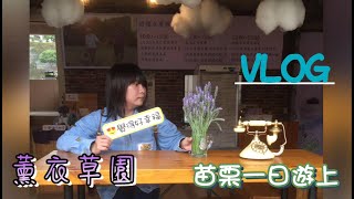 【飛鼠頻道】苗栗一日遊 薰衣草園\u0026草莓食記 (上) 《兔寶 阿傑》｜Vlog｜苗栗｜薰衣草園｜精油｜蜜蜂｜農場｜拍照｜大湖｜草莓紅茶｜草莓雞腿捲｜草莓奶茶