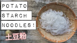 HOW TO MAKE POTATO STARCH NOODLES  | NOODLE WEEK! 土豆粉