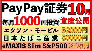 【PayPay証券】本当に儲かるのか？毎月1000円投資を48ヶ月続けた結果