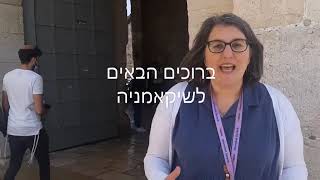 סיור בעקבות קונרד שיק יום שישי 9.4