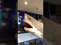 visiting one of the world’s biggest aquariums osaka aquarium kaiyukan 🐋 whaleshark japanvlog