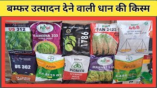 बरसात के लिए हाइब्रिड धान | Top-10 Hybrid Rice Variety's | अधिक उत्पादन वाली धान की किस्म |