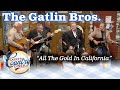 THE GATLIN BROTHERS perform ALL THE GOLD IN CALIFORNIA on LARRY'S COUNTRY DINER!