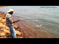 amazing mahseer fishing india belgaum city anglers big mahseer fish catch