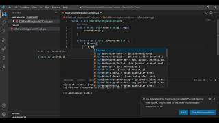 Java-VSCode: odd or even number