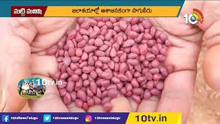 ముమ్మరంగా ఖరీఫ్ సాగు | Intensive Kharif Cultivation | Matti Manishi | 10TV Agri