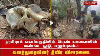 கோவை நரசிபுரம் வனப்பகுதியில்  பெண் யானையின் மண்டை ஓடு, எலும்புகள்..!