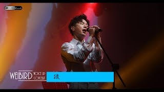 《狼》韋禮安 (字幕附歌詞/4K/2160p) 【2019 Voice Up Concert 讚聲演唱會】20190622