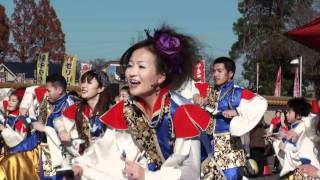 真舞會さん（Ⅱ）・フリー会場＠2011　ファイナルよさこい