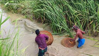 Most Amazing Fishing||100 লোকের ছোট খালে অবিশ্বাস্য সব বোয়াল মাছ ধরার মুহূর্ত