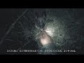 【blair witch】ついに犠牲者が…（予想通り）：02