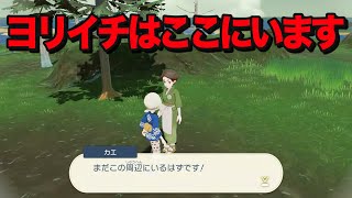 【ポケモン】ヨリイチはここにいます！！！！任務リストのサブ46の攻略！【Pokémon LEGENDS アルセウス】