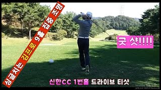 신안CC 싱글치는 김프로 9홀 집중조명/Shinan CC, single score Kim Pro 9-hole spotlight