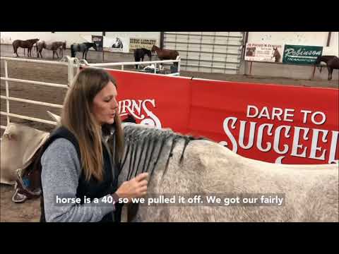 What do saddle sweat marks mean?