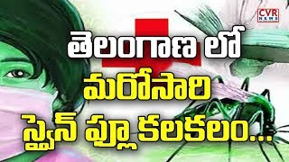 తెలంగాణలో మరోసారి స్వైన్ ఫ్లూ కలకలం | Swine Flu Positive Cases Found  in Telangana | CVR News