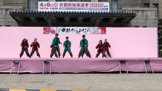 芦屋大学 六麓遊人 第十回京都さくらよさこい